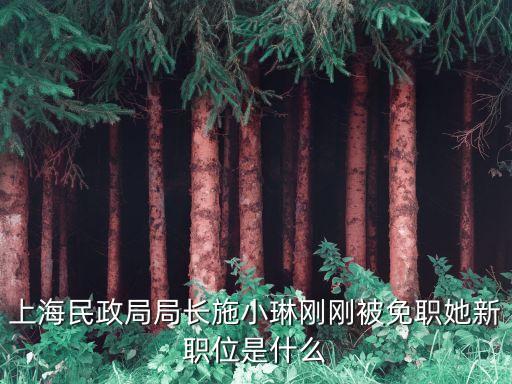 上海民政局局長施小琳剛剛被免職她新職位是什么