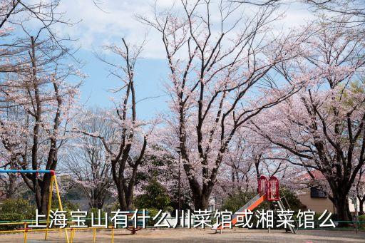 上海市餐飲店鋪寶山區(qū)，上海寶山區(qū)哪里有好吃的餐館啊