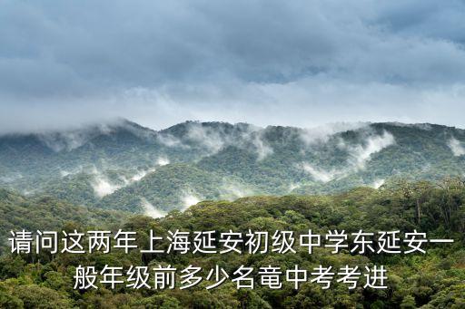 上海市延安初級中學趙，請問這兩年上海延安初級中學東延安一般年級前多少名竜中考考進