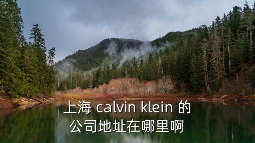 上海 calvin klein 的公司地址在哪里啊