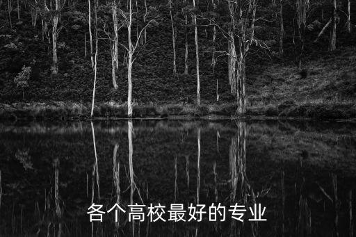 大學(xué)專業(yè)排行榜，浙江大學(xué)專業(yè)排名及介紹哪些專業(yè)最好