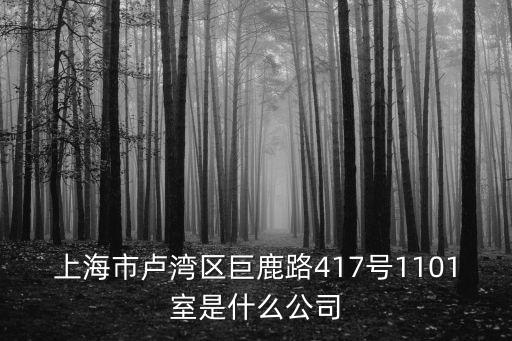 上海市盧灣區巨鹿路417號1101室是什么公司