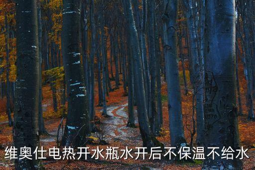維奧仕，維奧仕電暖瓶不出水