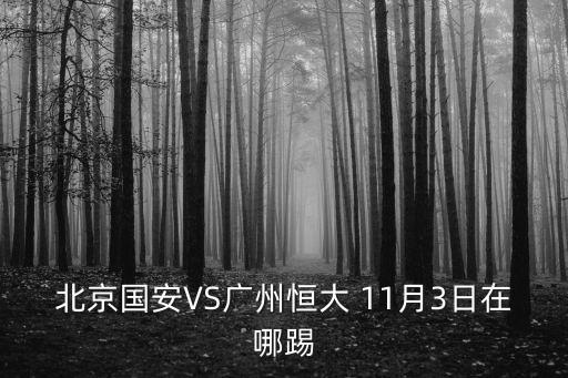 北京國(guó)安VS廣州恒大 11月3日在哪踢