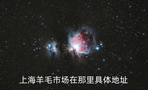 上海羊毛市場在那里具體地址