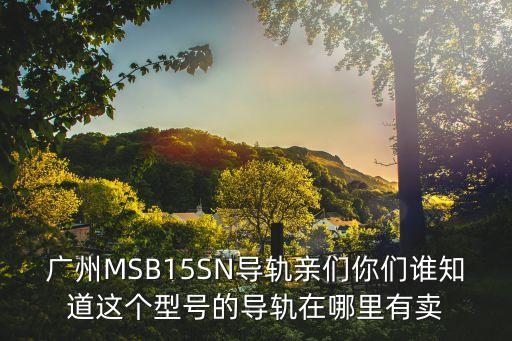 廣州質(zhì)量好的圓弧導(dǎo)軌，廣州MSB15SN導(dǎo)軌親們你們誰知道這個(gè)型號(hào)的導(dǎo)軌在哪里有賣