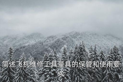 廣州飛機維修專用工具，電工維修用的工具可以帶上飛機嗎