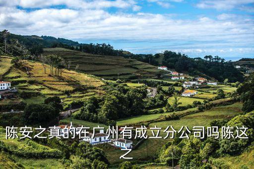 陳安之真的在廣州有成立分公司嗎陳這之