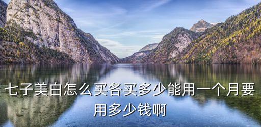 七子美白怎么買各買多少能用一個月要用多少錢啊