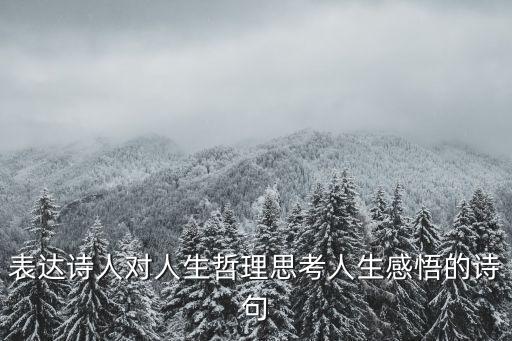 表達(dá)詩(shī)人對(duì)人生哲理思考人生感悟的詩(shī)句