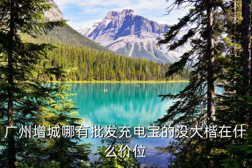 廣州增城哪有批發(fā)充電寶的沒大楷在什么價位