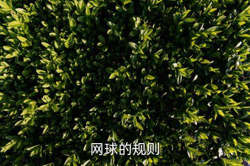 網球規則與打法圖解，網球的玩法