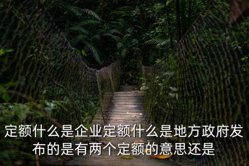 定額什么是企業(yè)定額什么是地方政府發(fā)布的是有兩個(gè)定額的意思還是