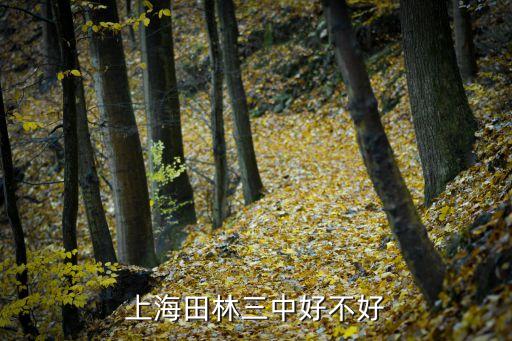 上海田林三中好不好