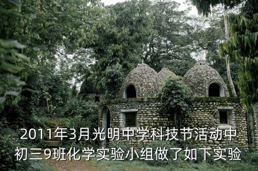 2011年3月光明中學科技節活動中初三9班化學實驗小組做了如下實驗