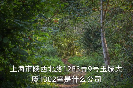 上海市陜西北路1283弄9號(hào)玉城大廈1302室是什么公司