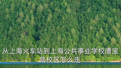 從上海火車站到上海公共事業(yè)學(xué)校漕寶路校區(qū)怎么走