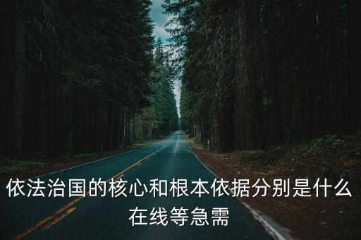 依法治國的原則，依法治國的核心和根本依據分別是什么在線等急需