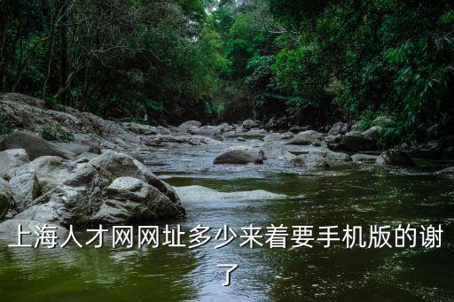 上海市it人才服務中心官網，上海人才網網址多少來著要手機版的謝了