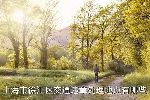 上海市違章處理地點和時間，上海市徐匯區交通違章處理地點有哪些