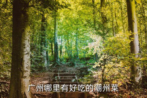 廣州哪里有好吃的潮州菜