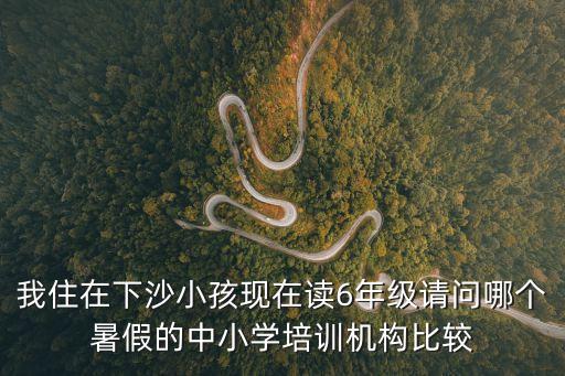 廣州下沙小學(xué)課外培訓(xùn)，下沙中小學(xué)暑期培訓(xùn)