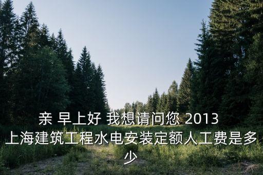 上海市安裝定額人工信息價，親 早上好 我想請問您 2013 上海建筑工程水電安裝定額人工費是多少