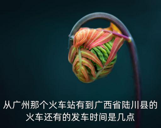 從廣州那個火車站有到廣西省陸川縣的火車還有的發車時間是幾點