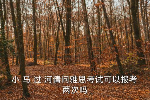 小 馬 過 河請問雅思考試可以報考兩次嗎