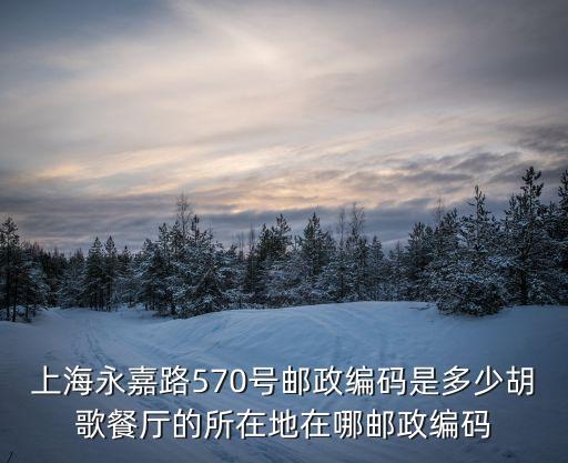 上海市永嘉路355號，ecomore上海實體店地址在哪