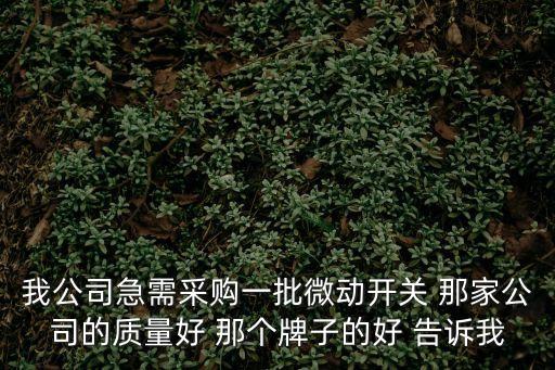 我公司急需采購(gòu)一批微動(dòng)開(kāi)關(guān) 那家公司的質(zhì)量好 那個(gè)牌子的好 告訴我