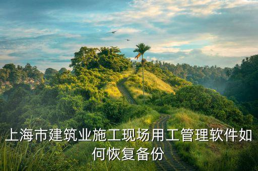 上海市施工現場用戶統一平臺，上海建筑安全員證書在哪個網站查詢