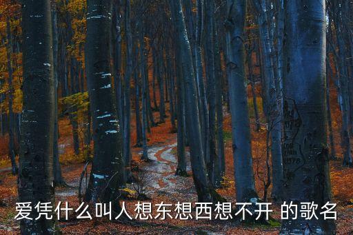 酒醉的探戈歌詞，愛憑什么叫人想東想西想不開 的歌名