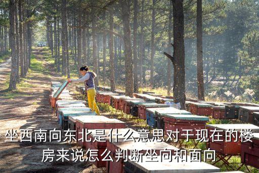 坐西南朝東北，坐西南向東北是什么意思對(duì)于現(xiàn)在的樓房來(lái)說(shuō)怎么判斷坐向和面向