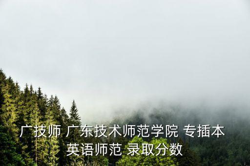 專插本考廣州技師要多少分，廣技師 廣東技術師范學院 專插本 英語師范 錄取分數