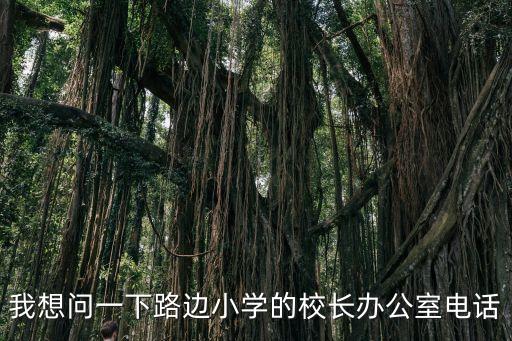 我想問一下路邊小學的校長辦公室電話