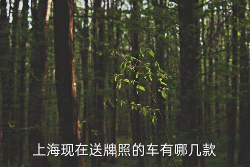 上?，F(xiàn)在送牌照的車有哪幾款