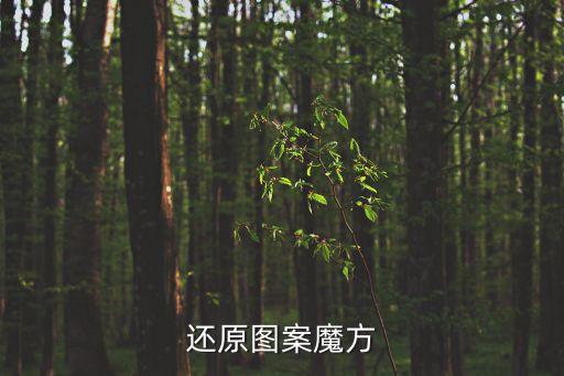 圖案魔方，還原圖案魔方