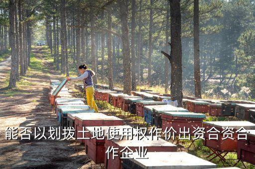 能否以劃撥土地使用權(quán)作價出資合資合作企業(yè)