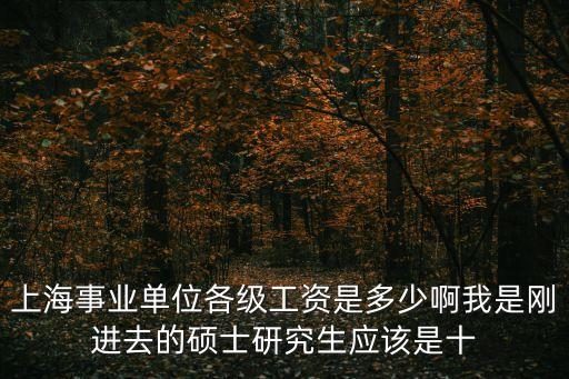 上海事業(yè)單位各級工資是多少啊我是剛進(jìn)去的碩士研究生應(yīng)該是十
