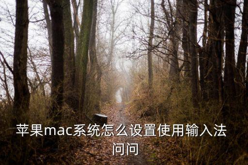 搜狗mac，mac OS支持inter硬件mac os收費