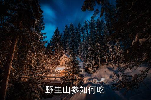 野生山參如何吃