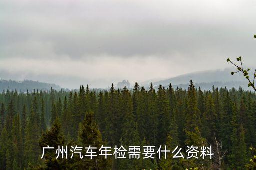 廣州小車年檢需什么資料，廣州汽車年檢要帶什么