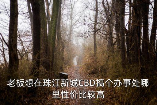 廣州珠江cbd效果圖，CBD圖是什么圖啊