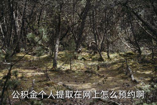 廣州公積金預約辦理流程，廣州地區怎么通過網上預約提取公積金
