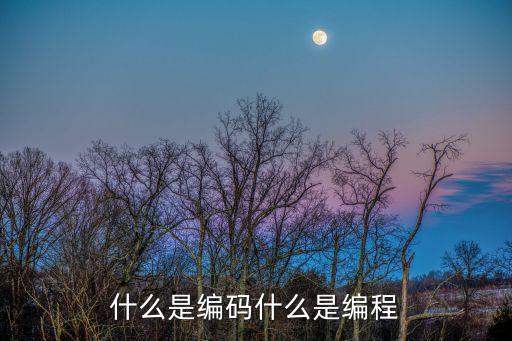 什么是編碼什么是編程