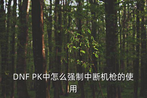 DNF PK中怎么強制中斷機槍的使用