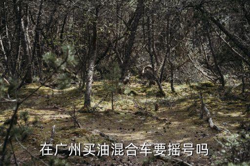 在廣州買油混合車要搖號嗎