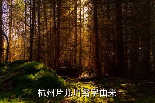 杭州片兒川名字由來