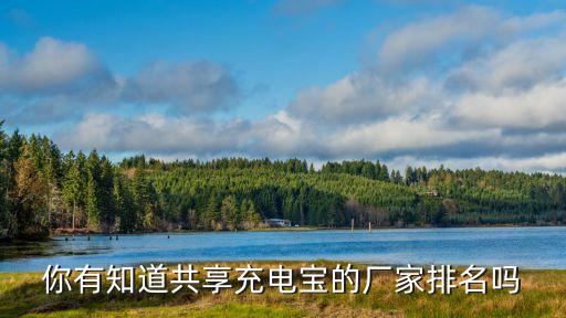 廣州共享充電寶廠家報價，你有知道共享充電寶的廠家排名嗎